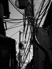 P5050241-Edit