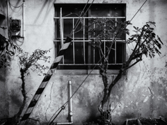P2250092-Edit-2