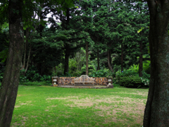 P8240254-Edit