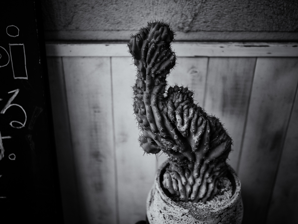 P2041337-Edit