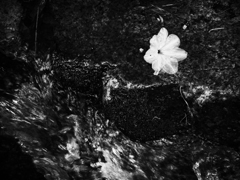 P5050136-Edit