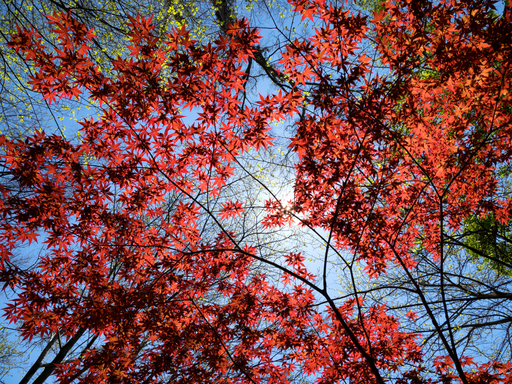 P4231064-Edit