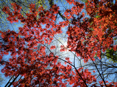 P4231064-Edit