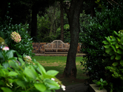 P8240249-Edit