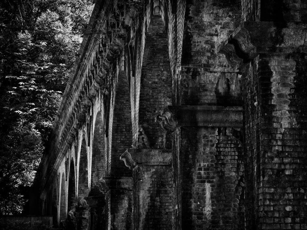 P5050110-Edit