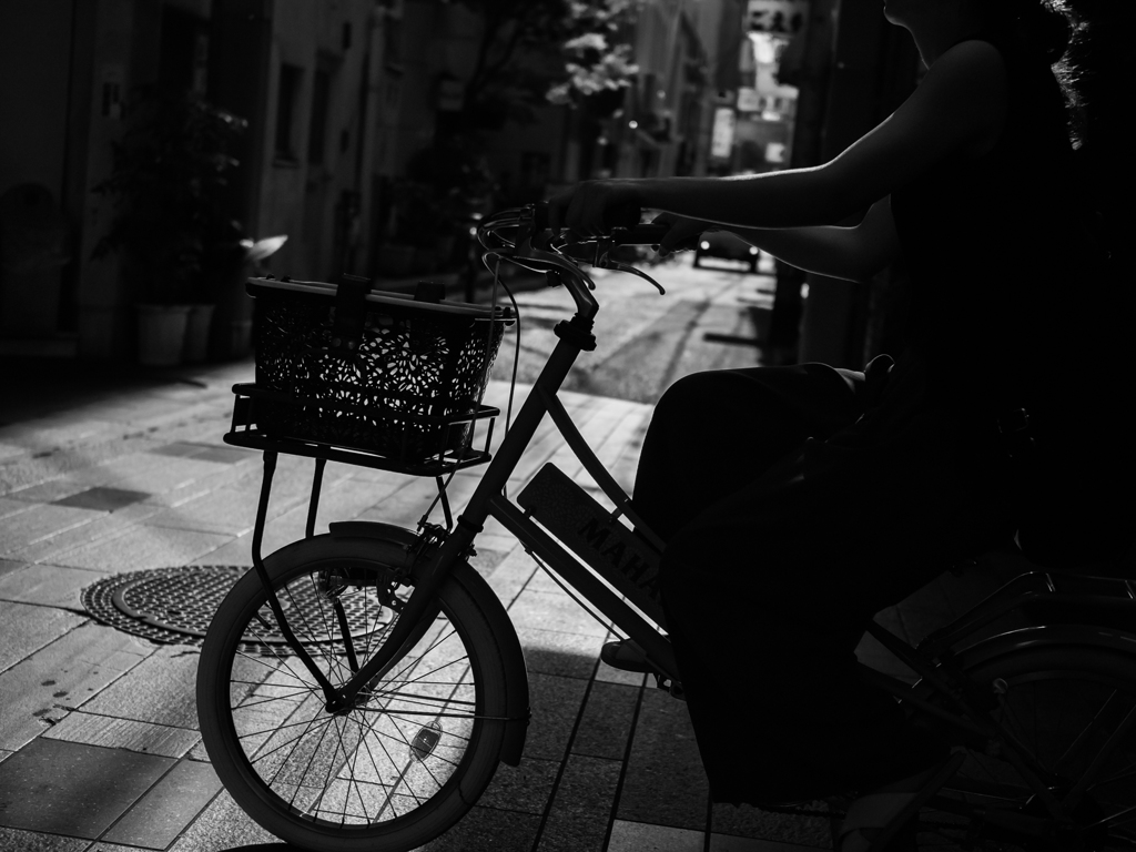P7010056-Edit