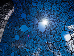 P8240287