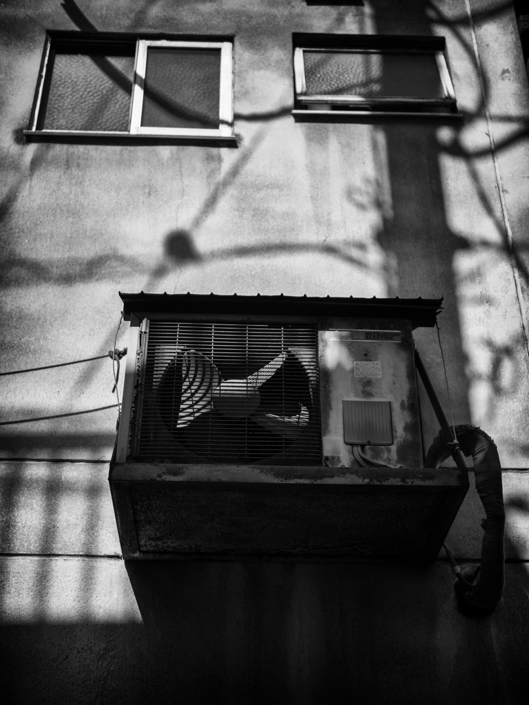 PA080101-Edit