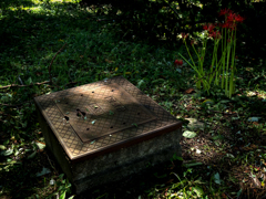 P9180380-Edit