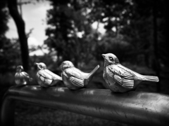 P5050043-Edit
