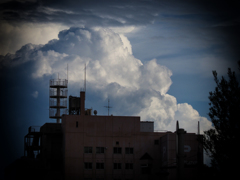 P7020188-Edit