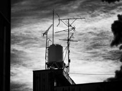 P2041248-Edit-2