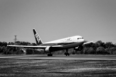 P4220554-Edit