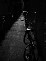 P7010053-Edit