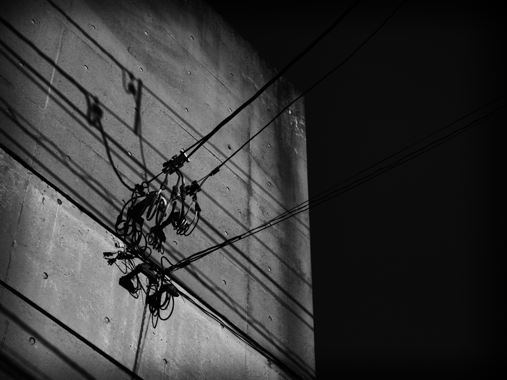 P4231539-Edit
