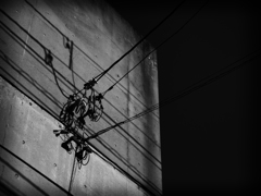 P4231539-Edit