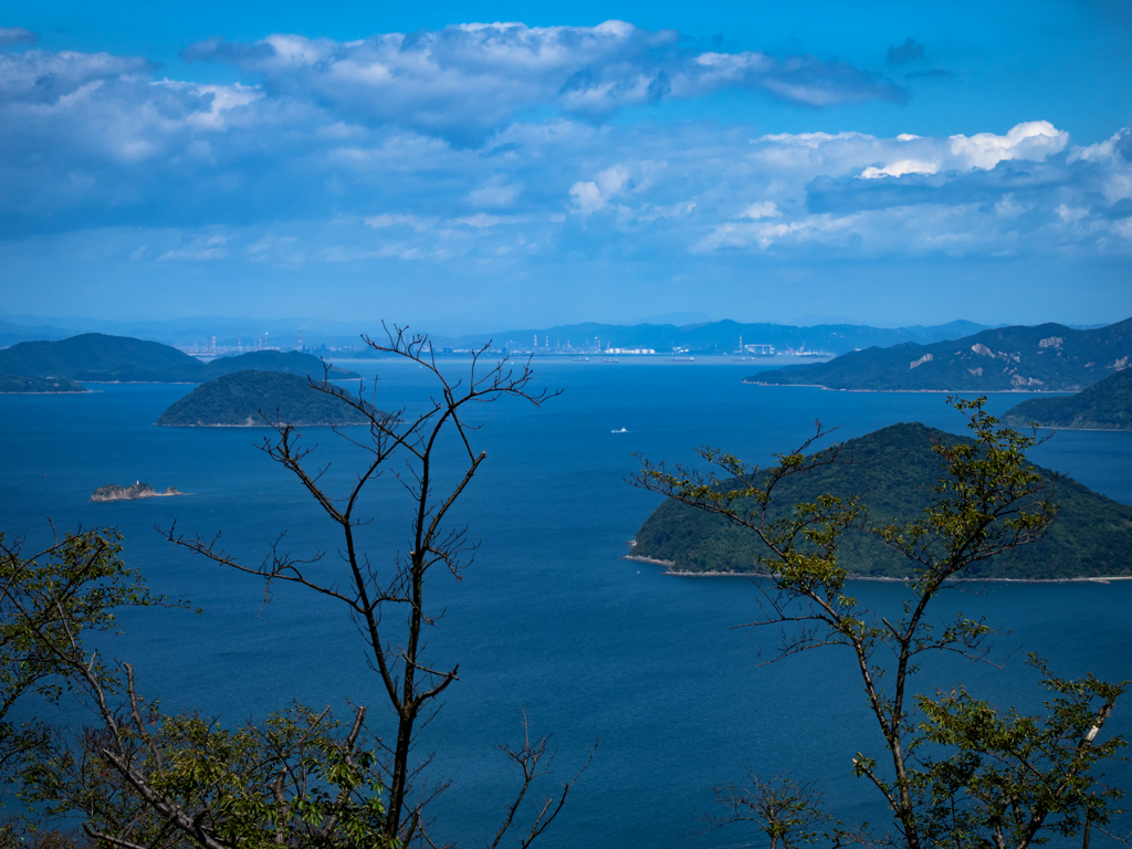 P9180416-Edit