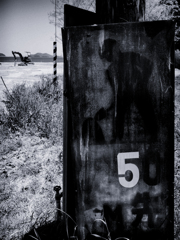 P4231067-Edit