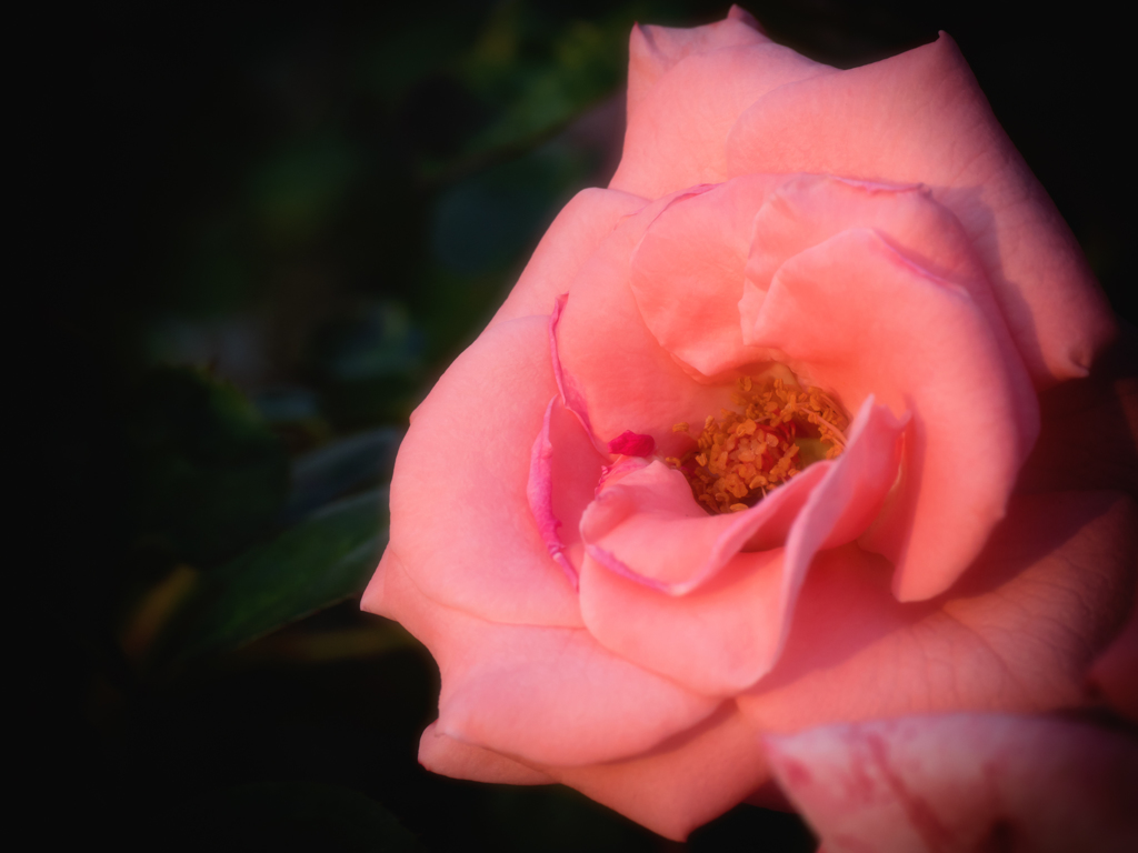P7160181-Edit