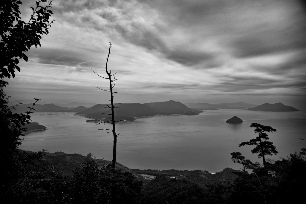 PA011103-Edit