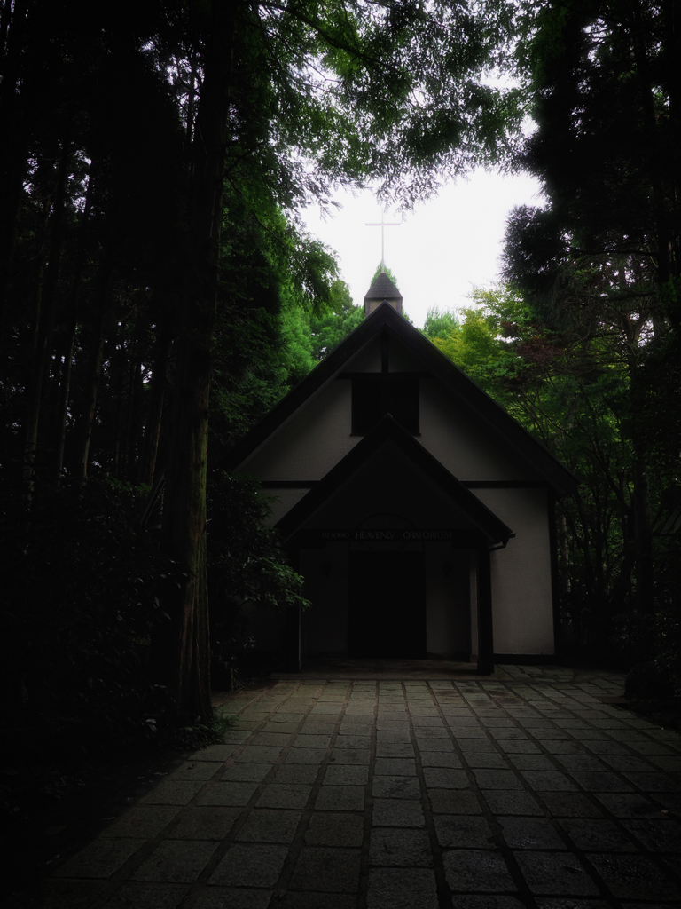 P8240193-Edit