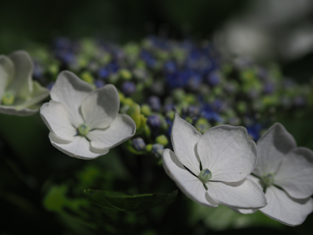 P6170028