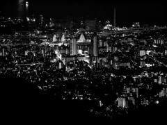 P8230151-Edit