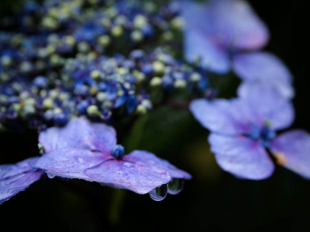 P6250120-Edit