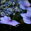 P6250120-Edit
