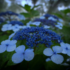 P6250357-Edit