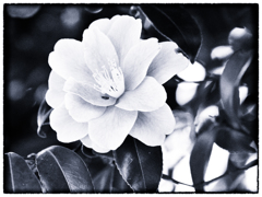 P4231042-Edit
