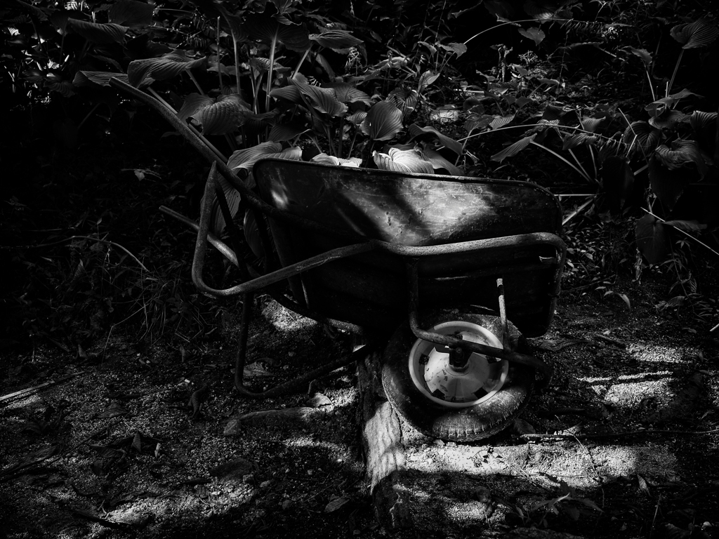 P8240359-Edit