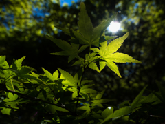 P4230963-Edit-2