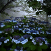 P6250343-Edit-Edit