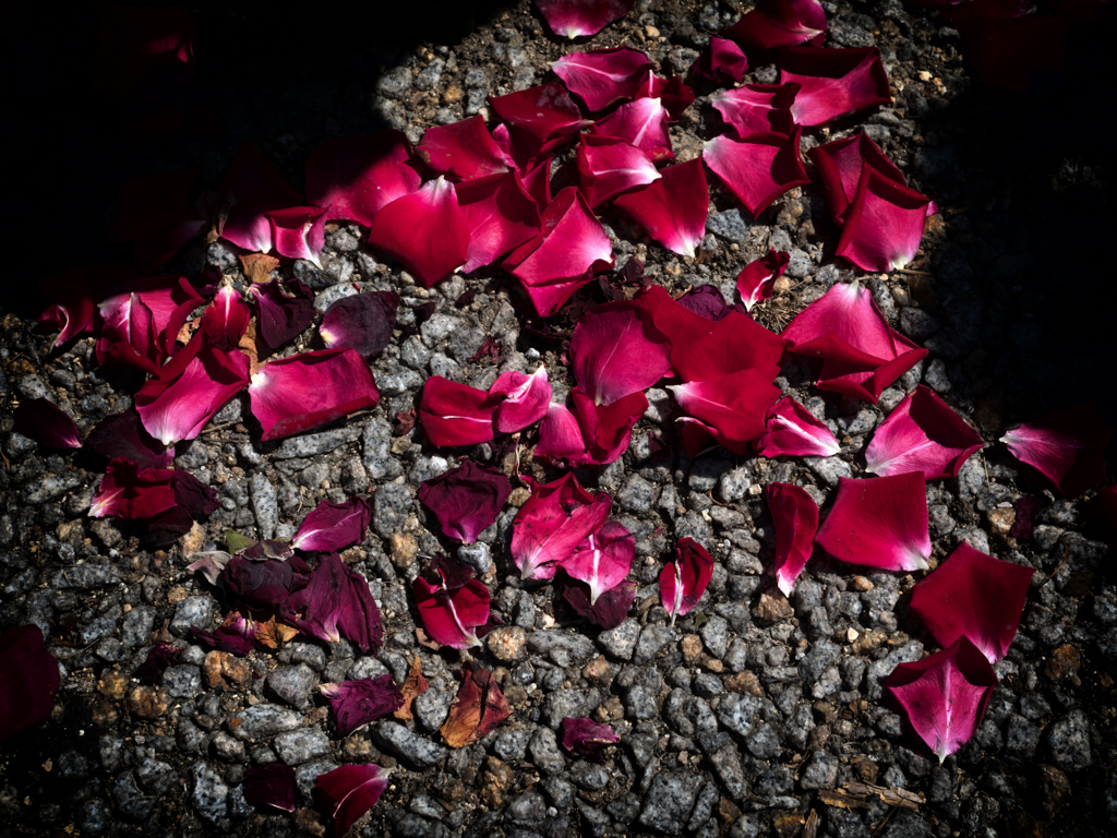 P5280714-Edit