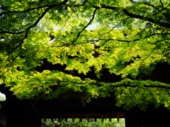 P5050163-Edit