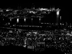 P8230138-Edit