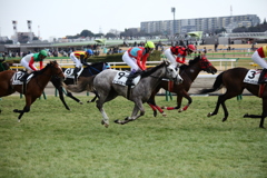 東京競馬場