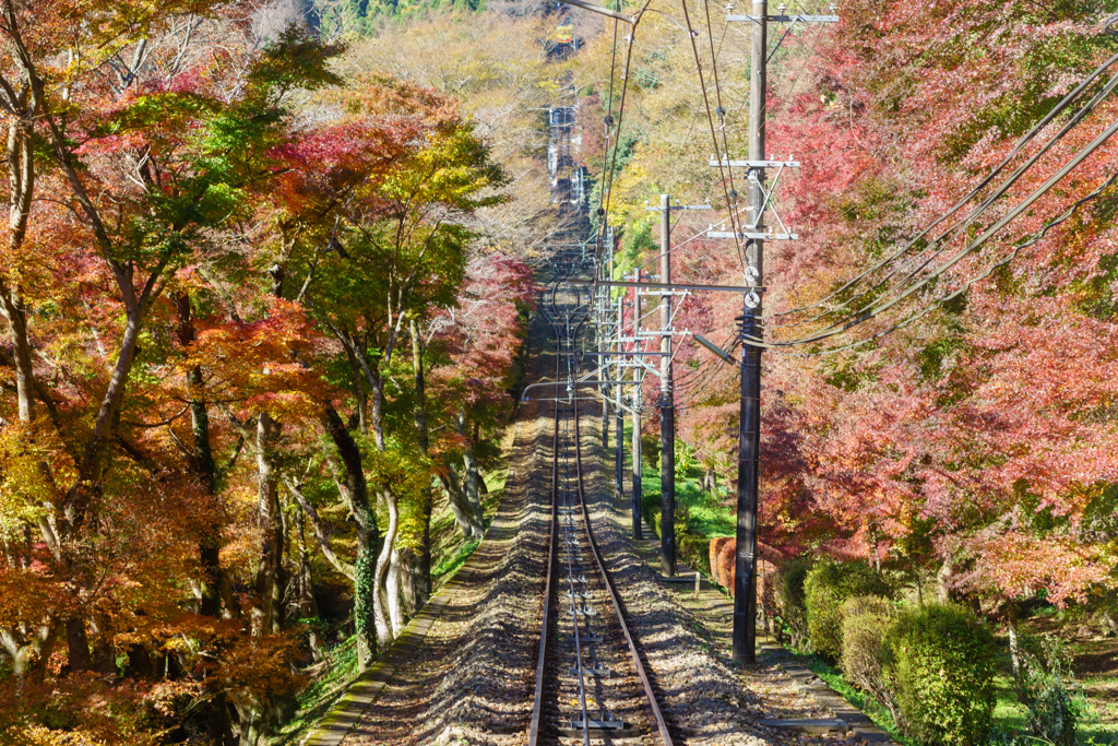 高尾山 ケーブルカーから