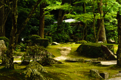 岩国 紅葉谷公園