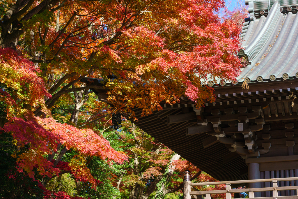 高尾山 薬王院