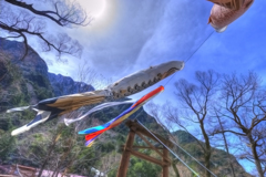 河童橋のこいのぼり