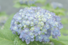 DA69F485-BD3A-4DA3-8FAF-690CC38A6C4A