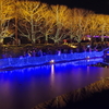 Winter Vista Illumination 2017