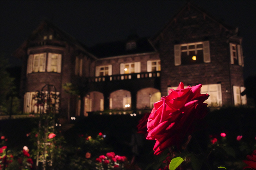 洋館の薔薇