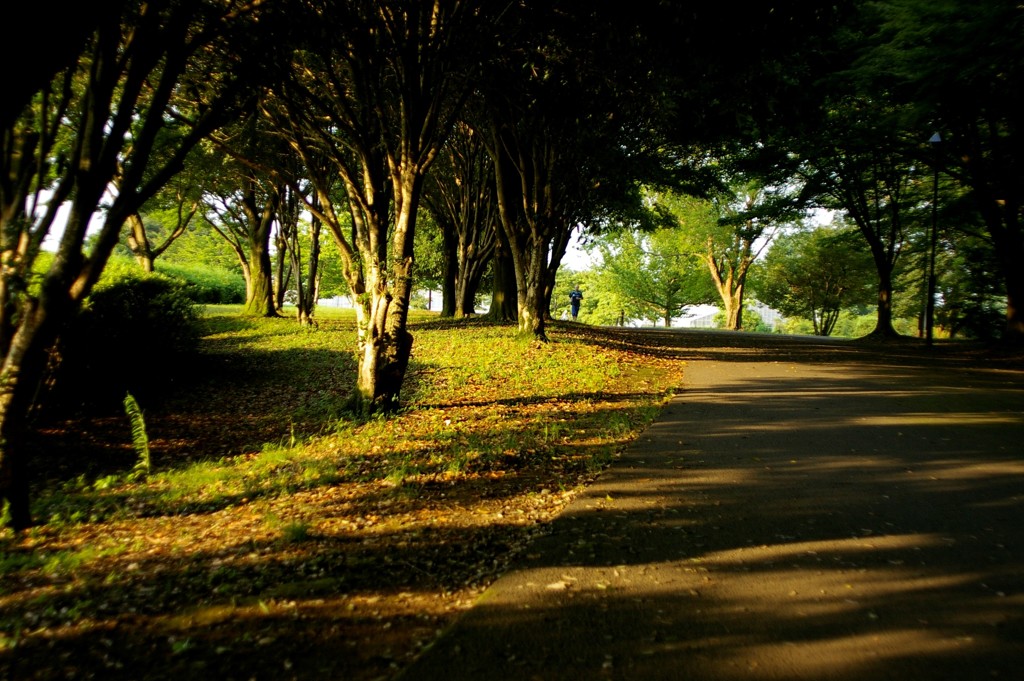 小金井公園にて