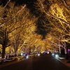 Winter Vista Illumination 2017