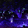 Winter Vista Illumination 2017