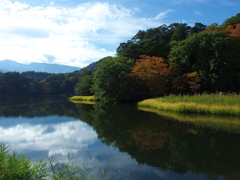 湖面の空