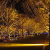 Winter Vista Illumination 2017
